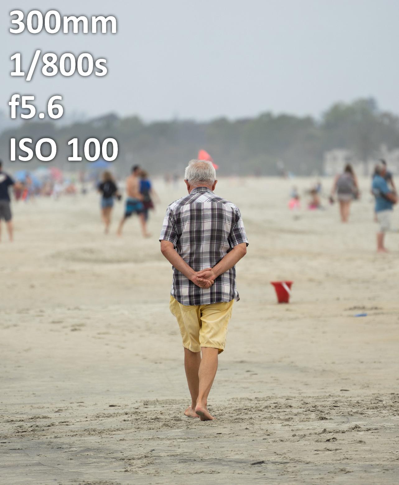 Sony FE 70-300mm f/4.5-5.6 G OSS Lens for Sony E customer photo 1