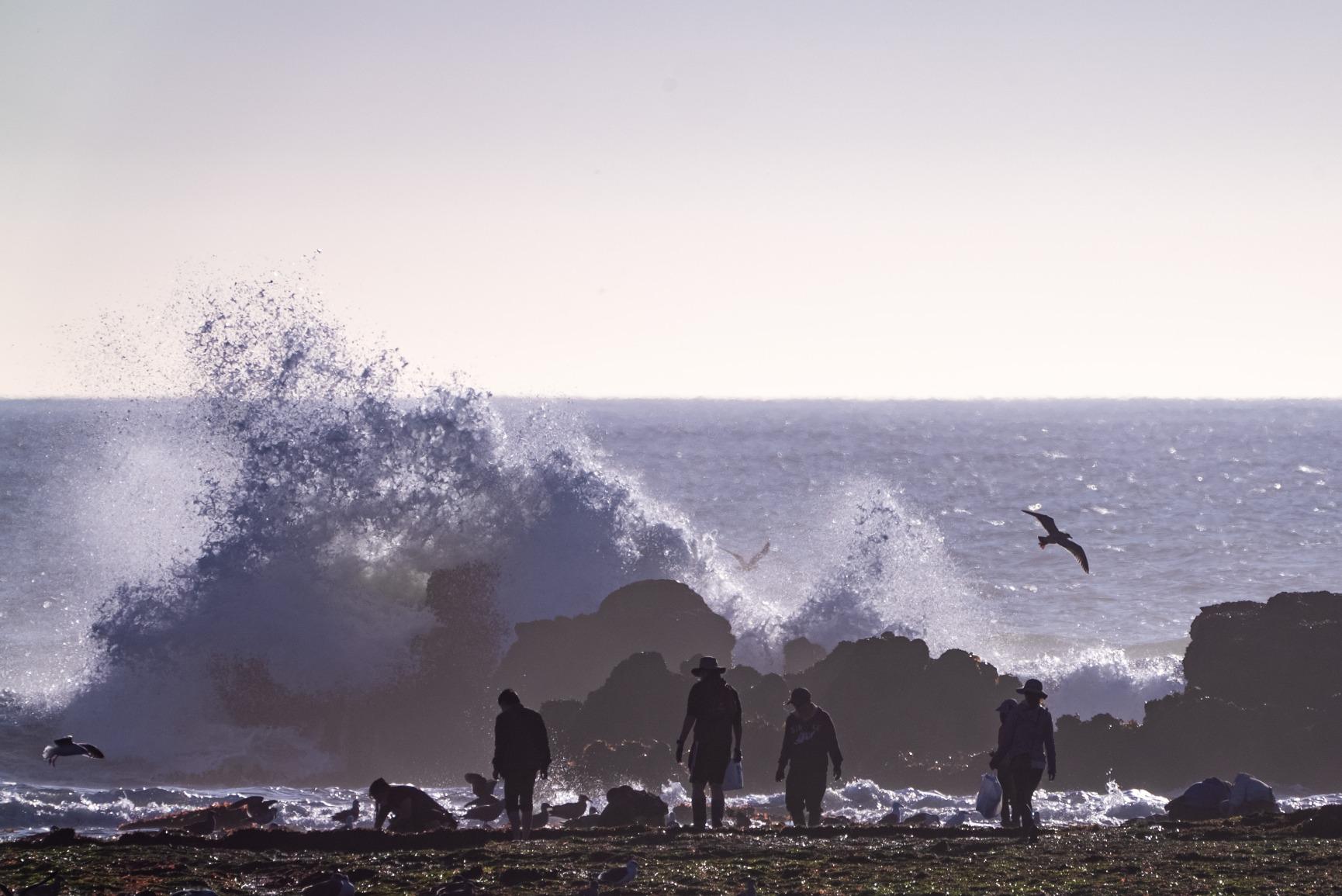 Sony FE 2.0x Teleconverter customer photo 1