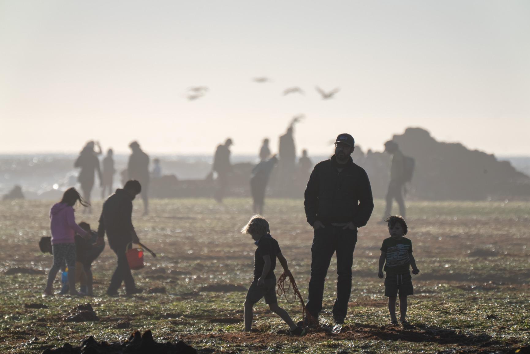 Sony FE 2.0x Teleconverter customer photo 2