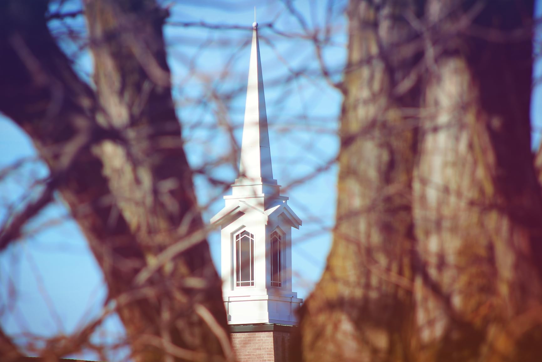 Canon EF 75-300mm f/4-5.6 III Telephoto Zoom Lens for Canon SLR Cameras (Renewed) customer photo 2