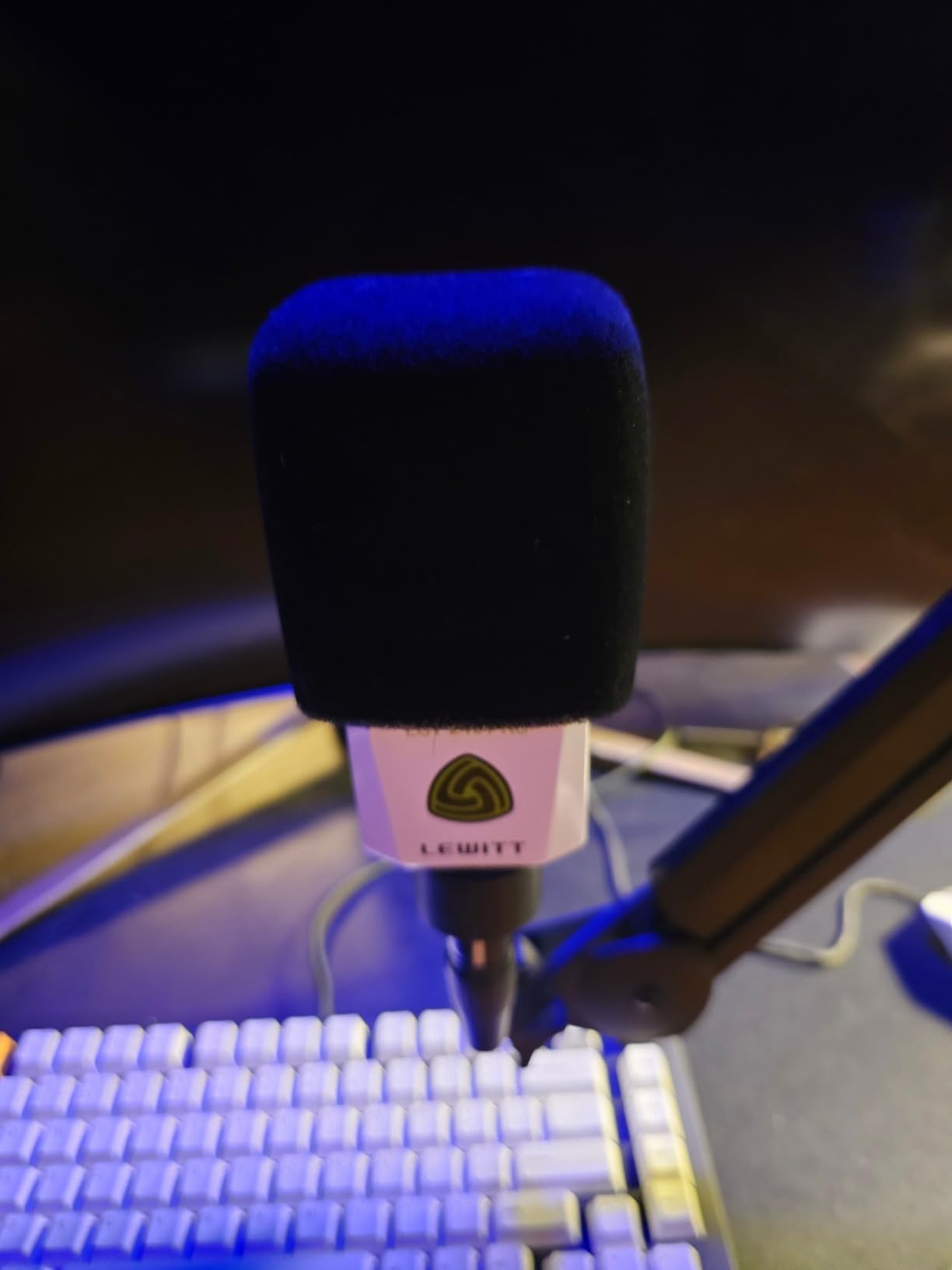 LEWITT LCT 240 Pro Large Diaphragm Condenser Mic customer photo 1
