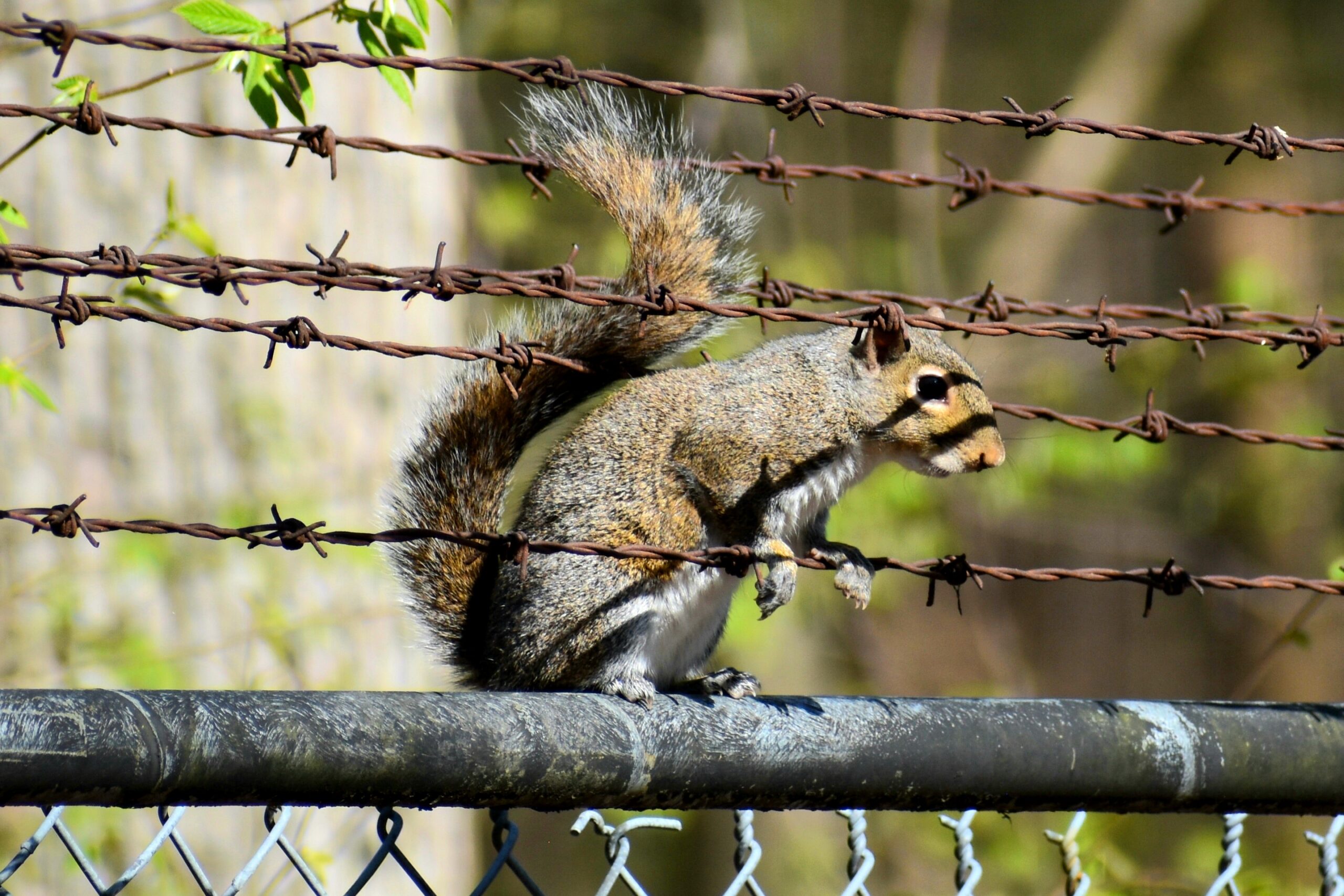 Nikon D5600 Digital SLR Camera & 18-55mm VR DX AF-P Lens - (Renewed) customer photo 1