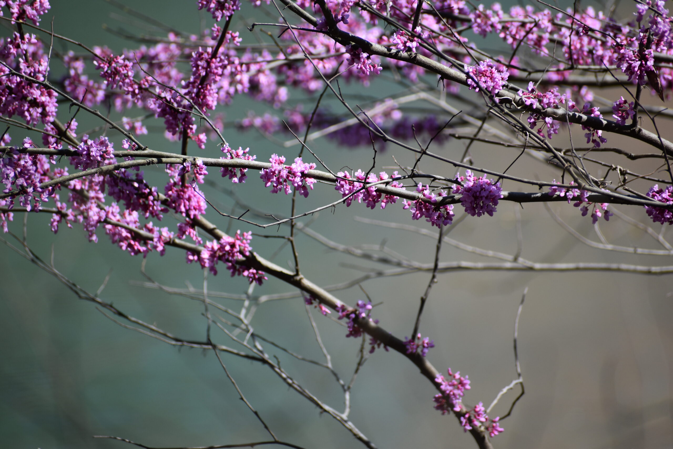 Nikon D5600 Digital SLR Camera & 18-55mm VR DX AF-P Lens - (Renewed) customer photo 2