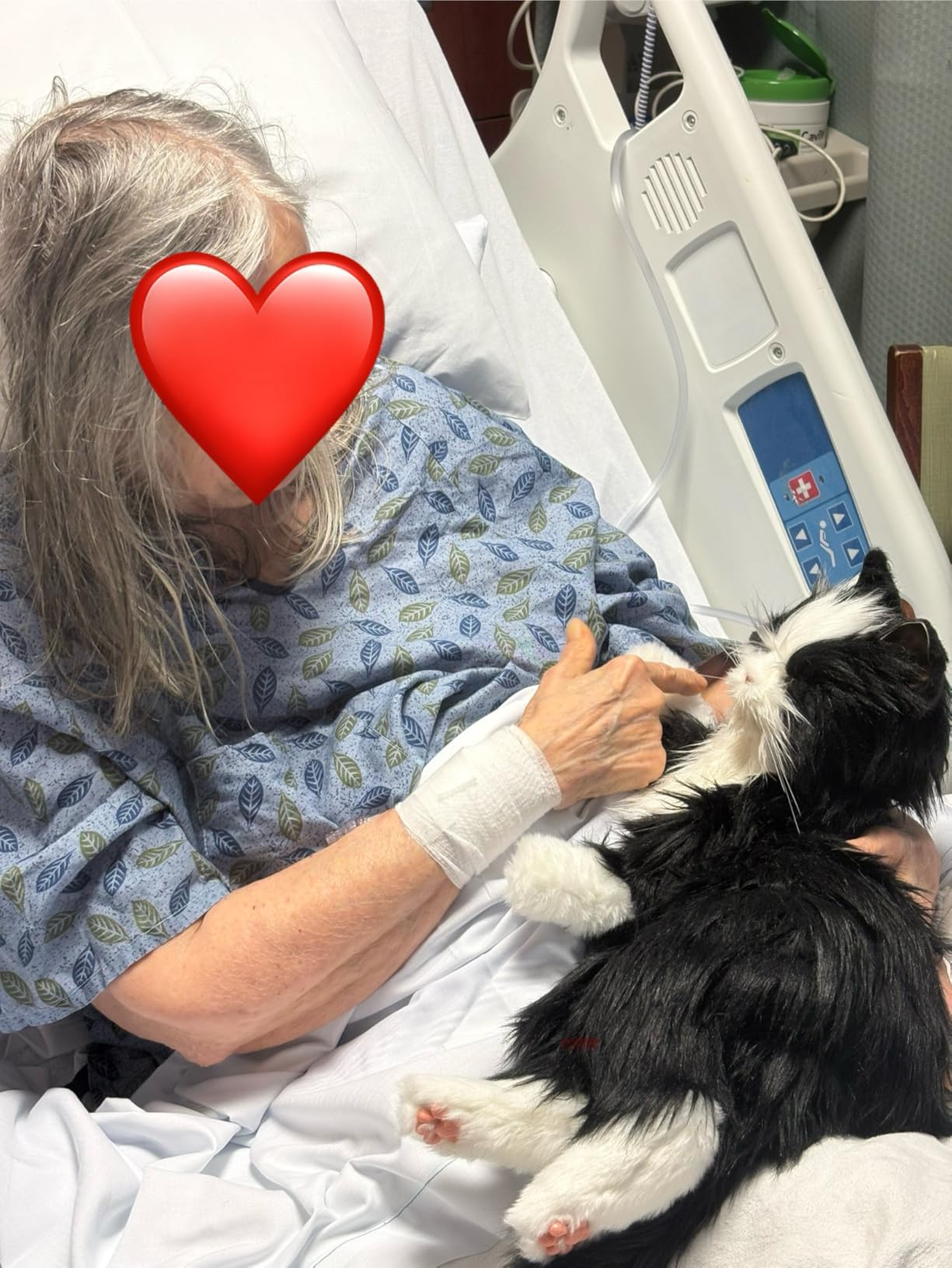 JOY FOR ALL Companion Pet for Seniors - Lifelike Animatronic Cat - Realistic Soft-Touch Fur & Purring - Therapy Stuffed Animal - Toy for Alzheimer's & Dementia - Tuxedo customer photo 1