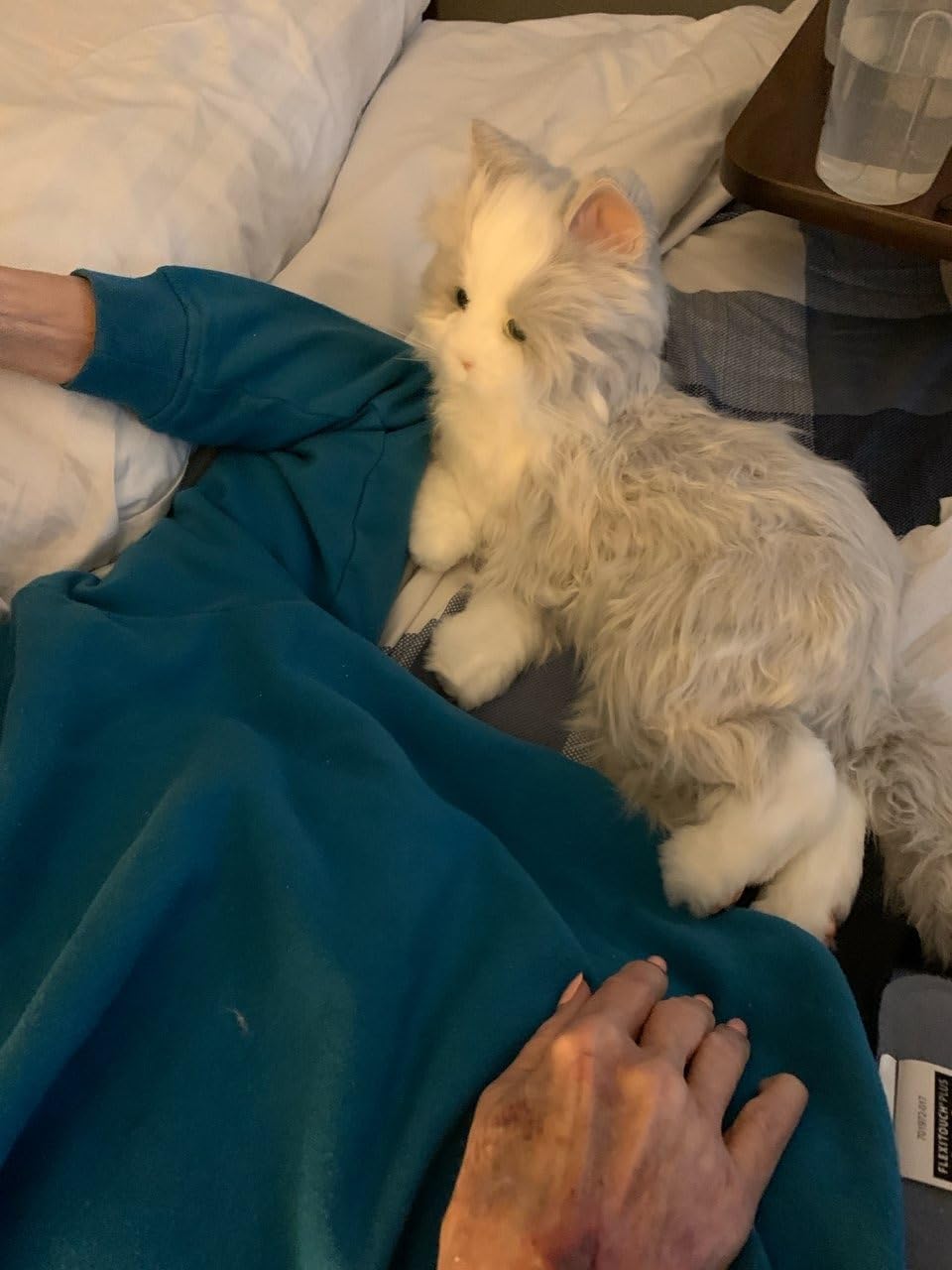 JOY FOR ALL Companion Pet for Seniors - Lifelike Animatronic Cat - Realistic Soft-Touch Fur & Purring - Therapy Stuffed Animal - Toy for Alzheimer's & Dementia - Tuxedo customer photo 2