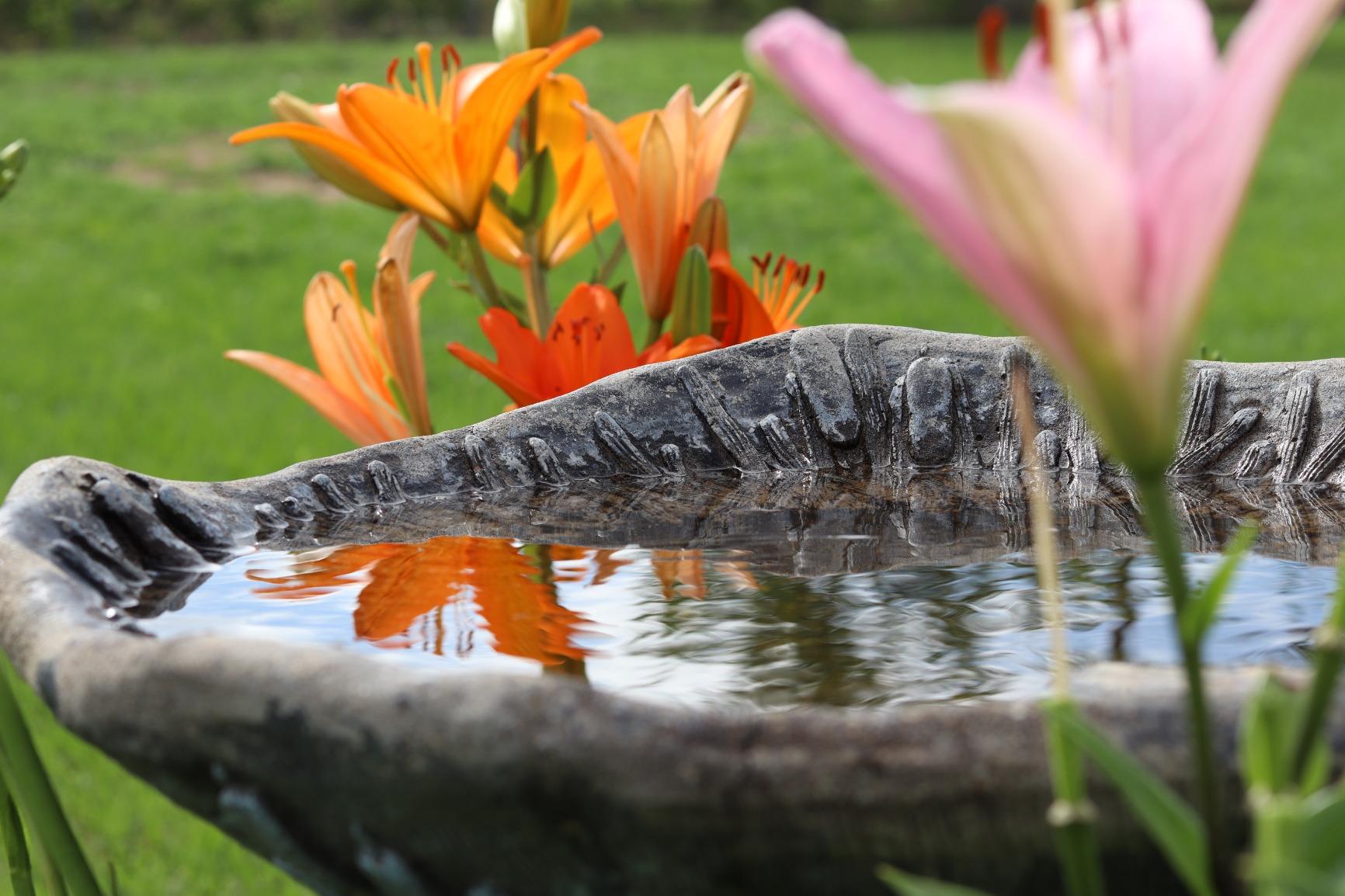 K&F Concept 77mm Variable ND Filter ND2-ND32 Camera Lens Filter (1-5 Stops) No X Cross HD Neutral Density Filter with 28 Multi-Layer Coatings Waterproof (Nano-X Series) customer photo 2