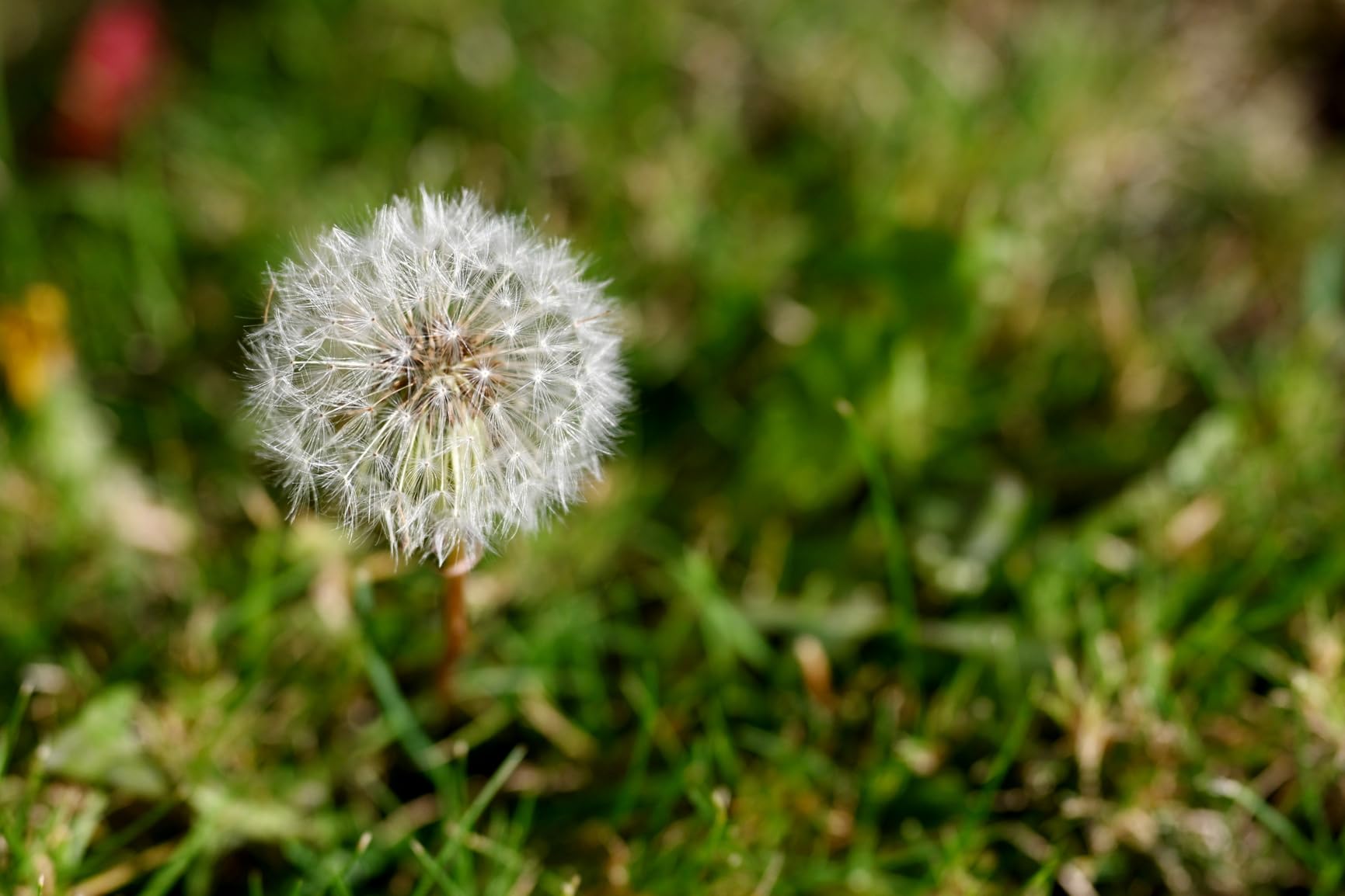 Nikon NIKKOR Z 50mm f/1.8 S Premium Prime Lens customer photo 1