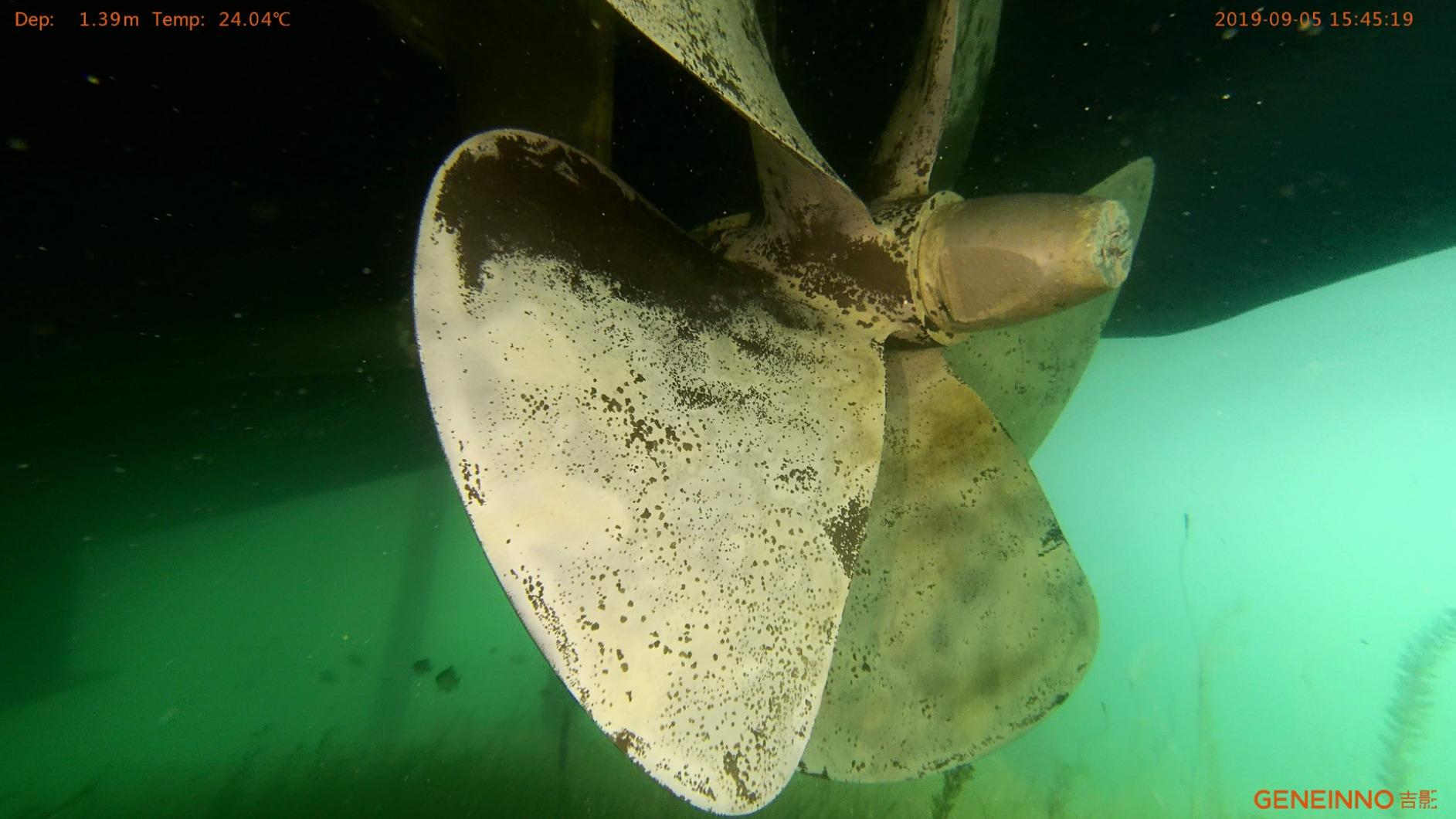 150M Tether Titan Professional Underwater Drone ROV AUV Robot with 4K UHD Action Camera Remote Control Real-time Steaming Undersea Detection for Viewing, Recording, Fishing, Salvage Work customer photo 1