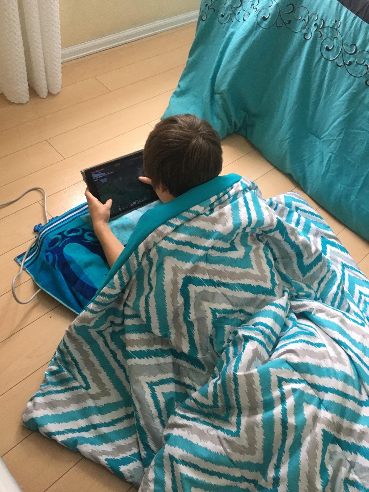 HealthyLine TAO Far Infrared Heating Pad - Small Natural Crystal Gemstones Mat for Back Pain - Electric Auto Shut Off - Rejuvenating Negative Ions Therapy - 18