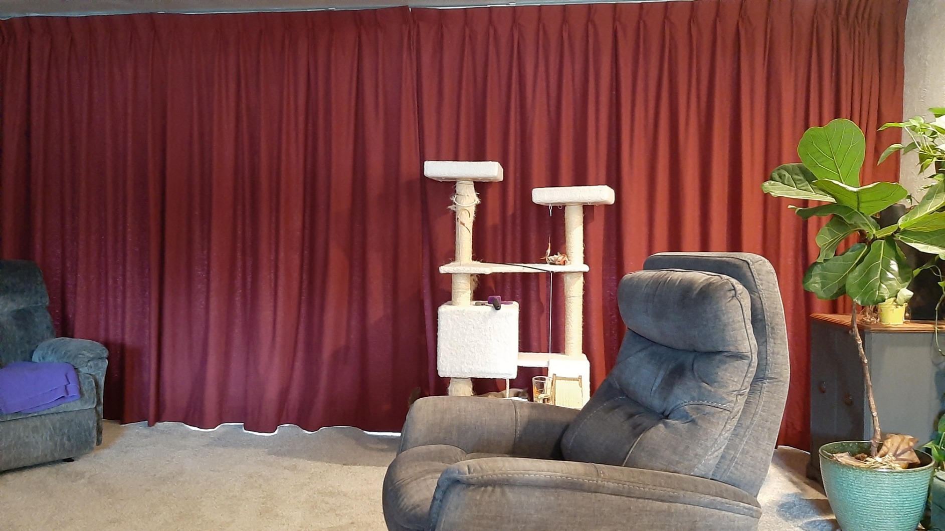 Quoya QL500 Smart Curtains System, Electric Curtain Track with Automated Rail, Motorized and Adjustable Tracks/Rod/Pole (up to 3.2 metres / 125 inches), Motor compatible with Alexa customer photo 2