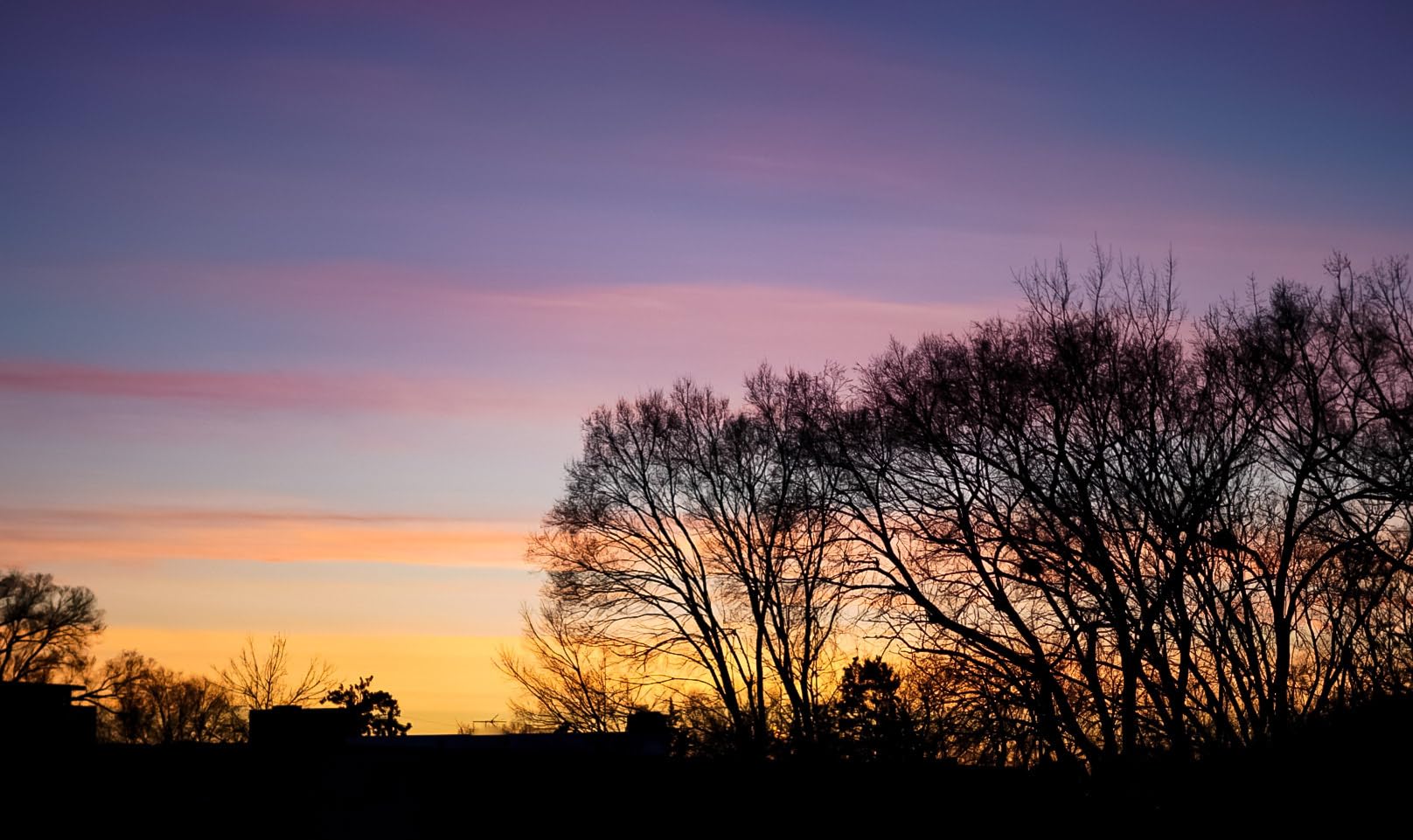 Sony FE 50mm F1.8 Standard Lens customer photo 2