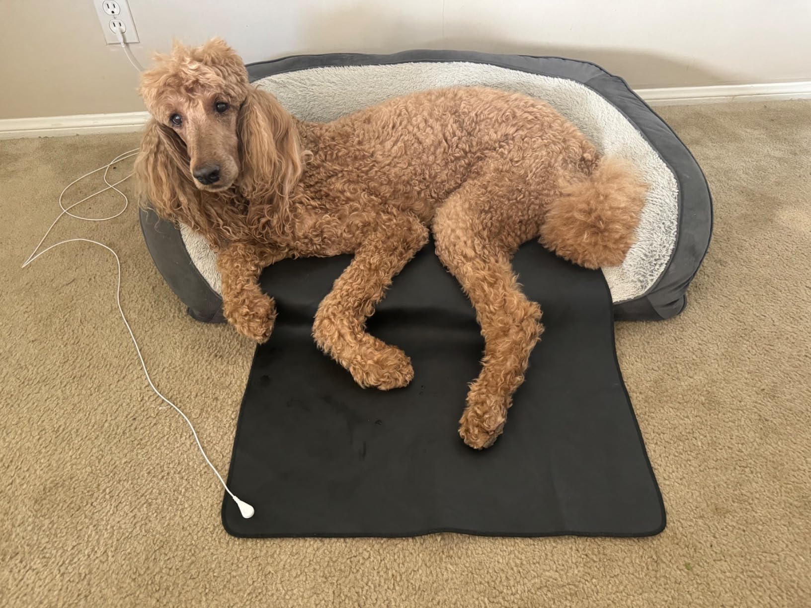 Grounding Mat,35.4x23.6 inches,Reconnect to The Earth EMF Recovery,for Foot Therapy, Universal Grounding Sleep Mat, Grounding Yoga Mat,Improve Energy,Sleep Assist and Helps with Anxiety Black customer photo 1