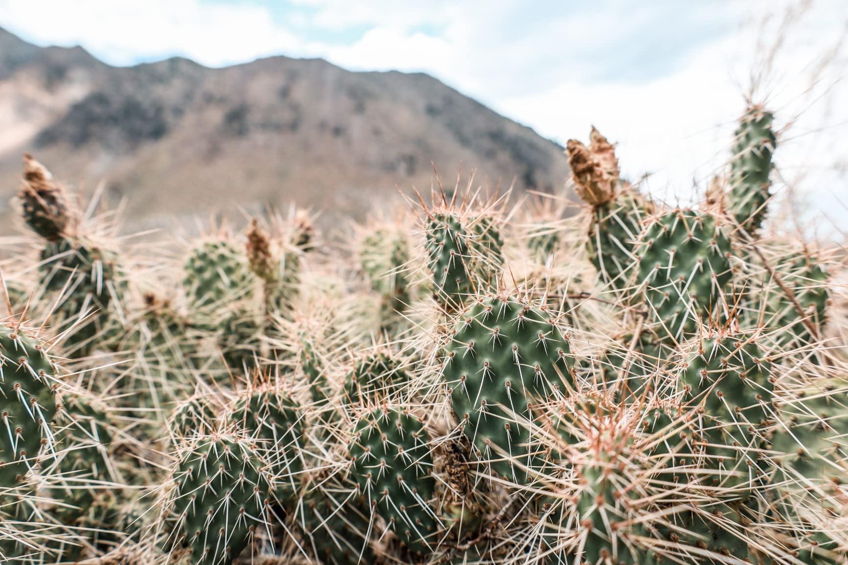 Canon EOS RP Full-Frame Mirrorless Interchangeable Lens Camera + RF24-105mm Lens F4-7.1 is STM Lens Kit- Compact and Lightweight customer photo 1