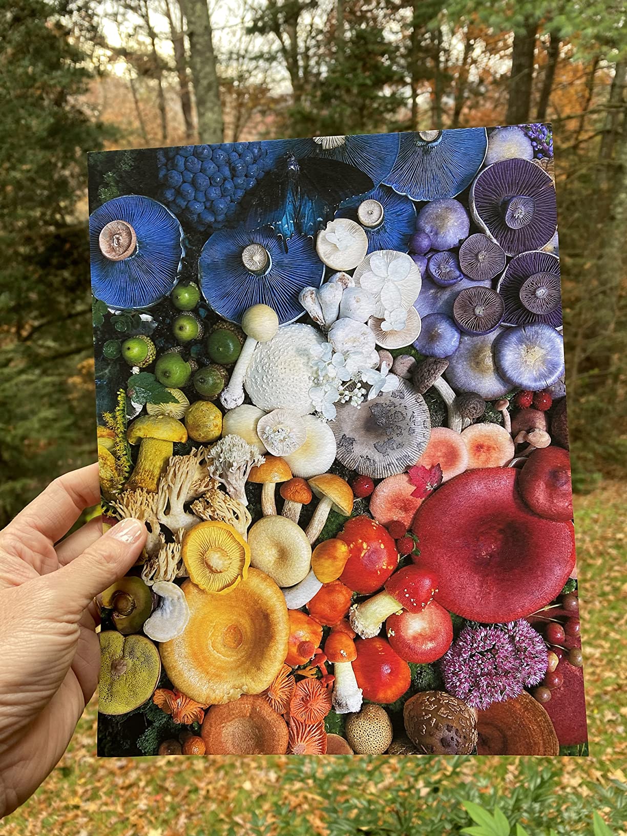 Epson SureColor P700 13-Inch Printer, Black customer photo 1