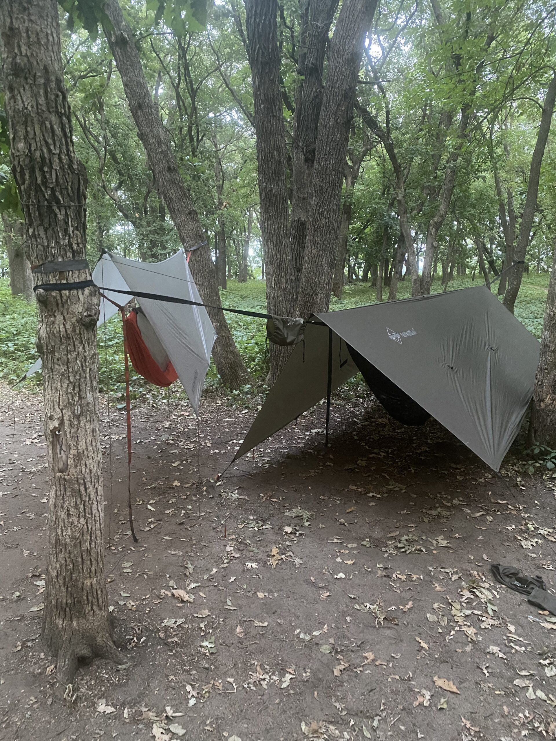 onewind 11ft Camping Hammock with Bugnet, Portable Double Hammock with Mosquito Net, Backpacking Hammock with Net Adjustable Ridgeline Tree Straps for Outdoor Hiking Backpacking, OD Green customer photo 2