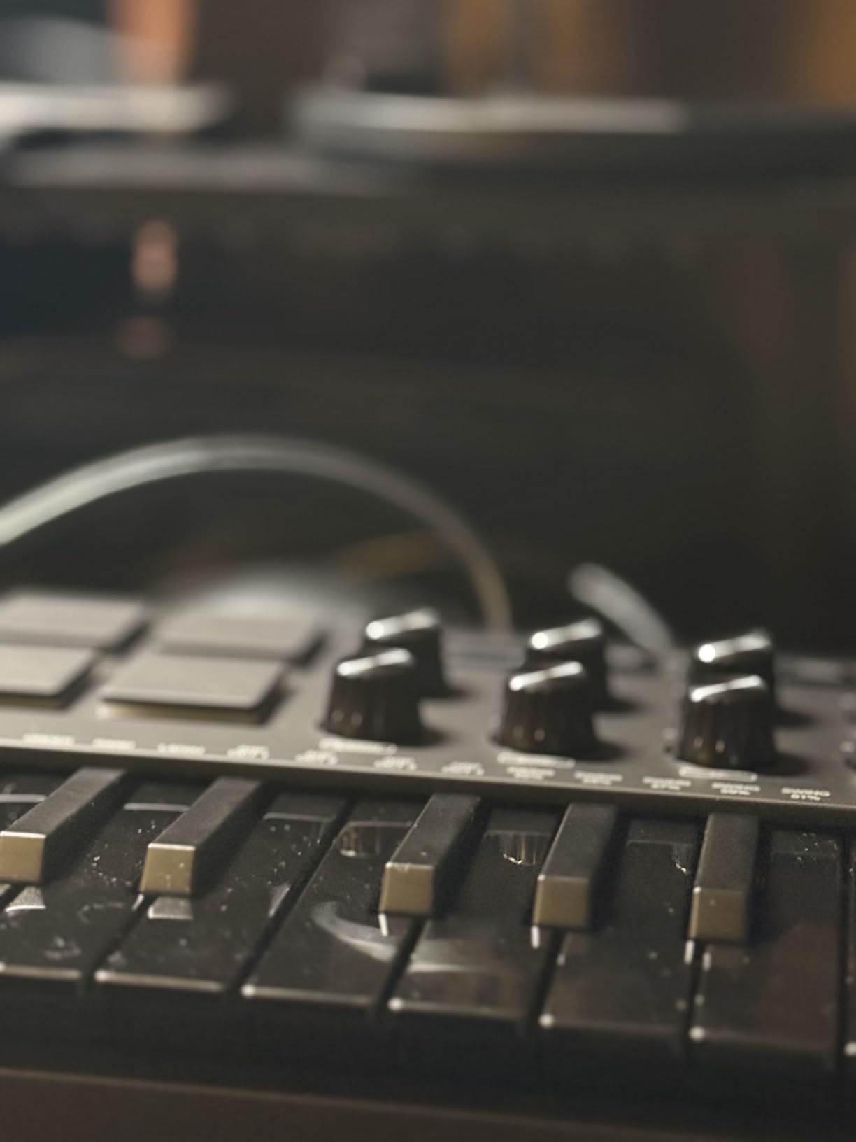 Akai Professional MPK Mini MK3 - 25 Key USB MIDI Keyboard Controller with 8 Backlit Drum Pads, 8 Knobs, and Music Production Software customer photo 2