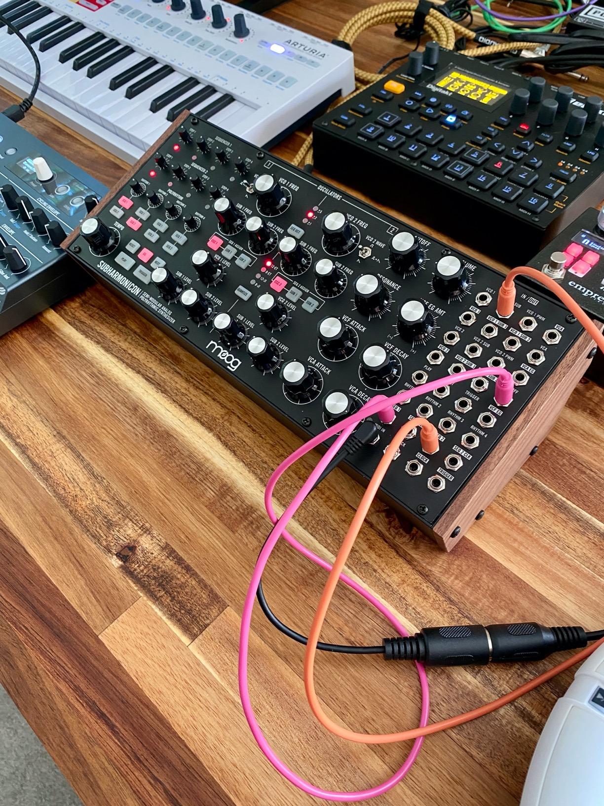 MOOG Subharmonicon Semi-Modular Analog Polyrhythmic Synthesizer with Dual Sequencer, MIDI, and Patch Bay customer photo 1