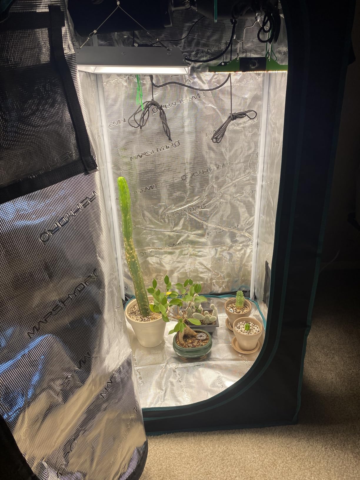 MARS HYDRO 2x2 Grow Tent Kit Complete System with 10 Speed Fan, 100W Upgraded TS600 LED Dimmable Grow Light, 24