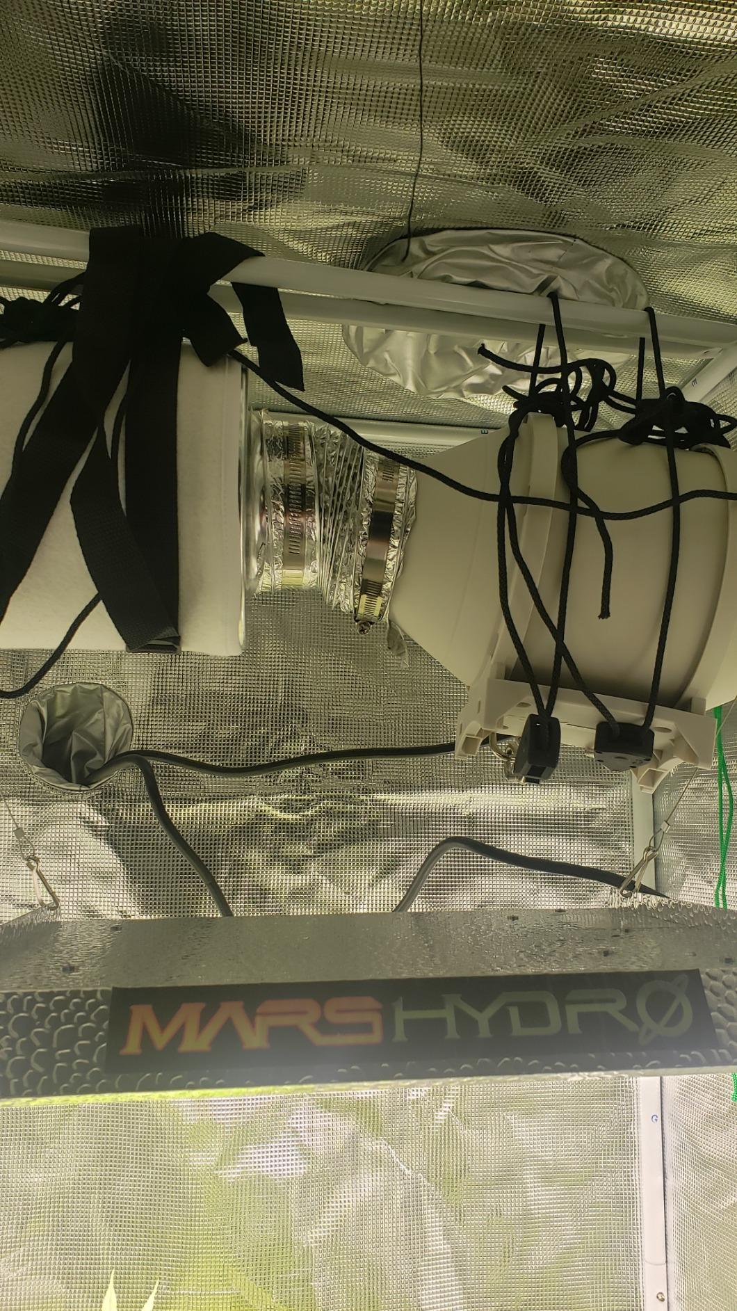 MARS HYDRO 2x2 Grow Tent Kit Complete System with 10 Speed Fan, 100W Upgraded TS600 LED Dimmable Grow Light, 24