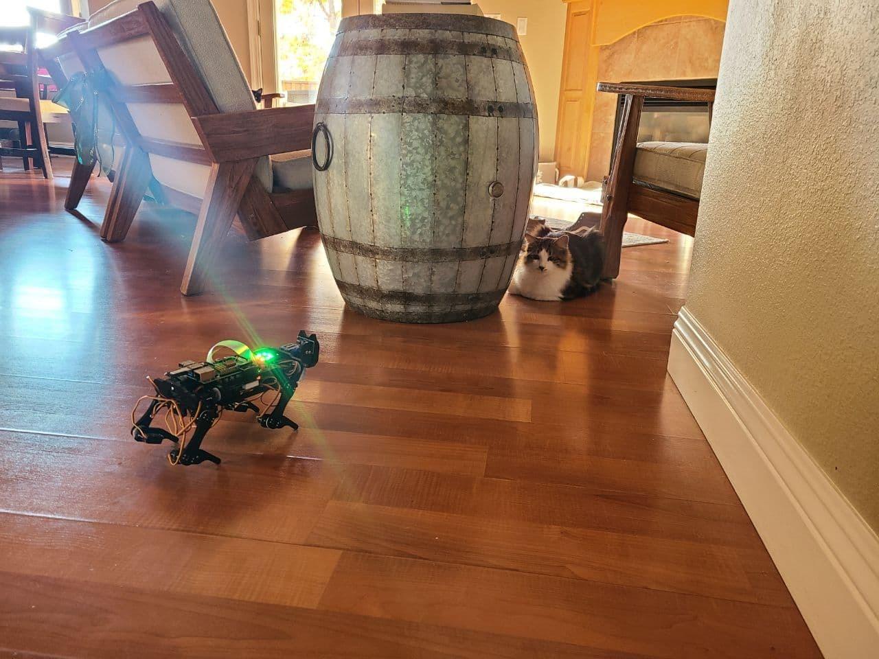 FREENOVE Robot Dog Kit for Raspberry Pi 5 4 B 3 B+ Zero 2 W, Walking, Self Balancing, Face Recognition, Ball Tracing, Ultrasonic Ranging, App Control, Camera, Servo (Raspberry Pi NOT Included) customer photo 2