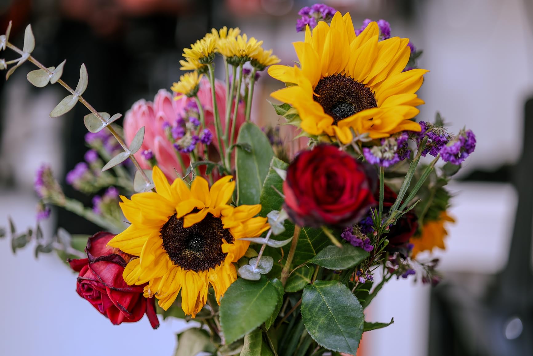 Canon RF 85mm F2 Macro is STM, Compact Medium-Telephoto Black Lens (4234C002) customer photo 1