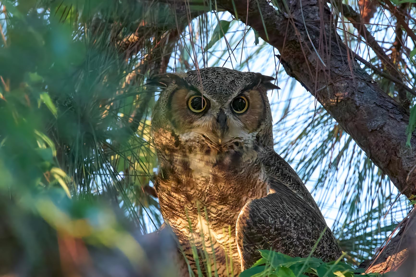 Canon EXT. RF1.4X(N) (4113C002) customer photo 2