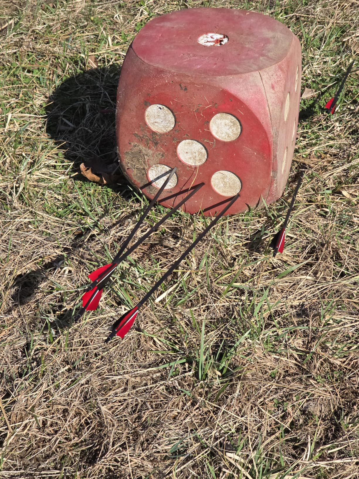 Deerseeker Archery 62