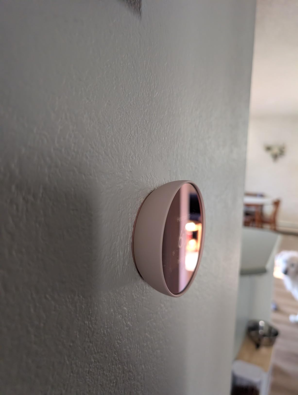 Google Nest Thermostat - Snow (Battery Powered) customer photo 2