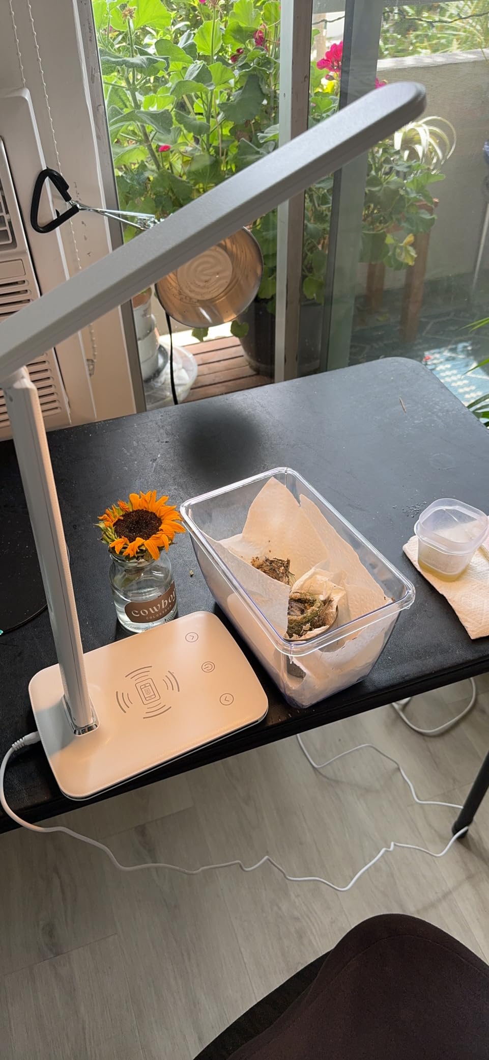 Carex Radiance Bright Light Therapy Sun Lamp, 10000 LUX Therapy Lamp, LED Bright White Light with Adjustable Brightness, Alarm Clock, Wireless Charging Station, USB Port, White customer photo 2