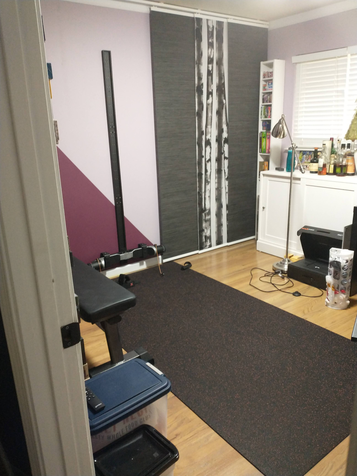 MAXPRO Fitness Cable Home Gym - Portable, Bluetooth Connected, 5-300lbs Resistance, As Seen on Shark Tank customer photo 1