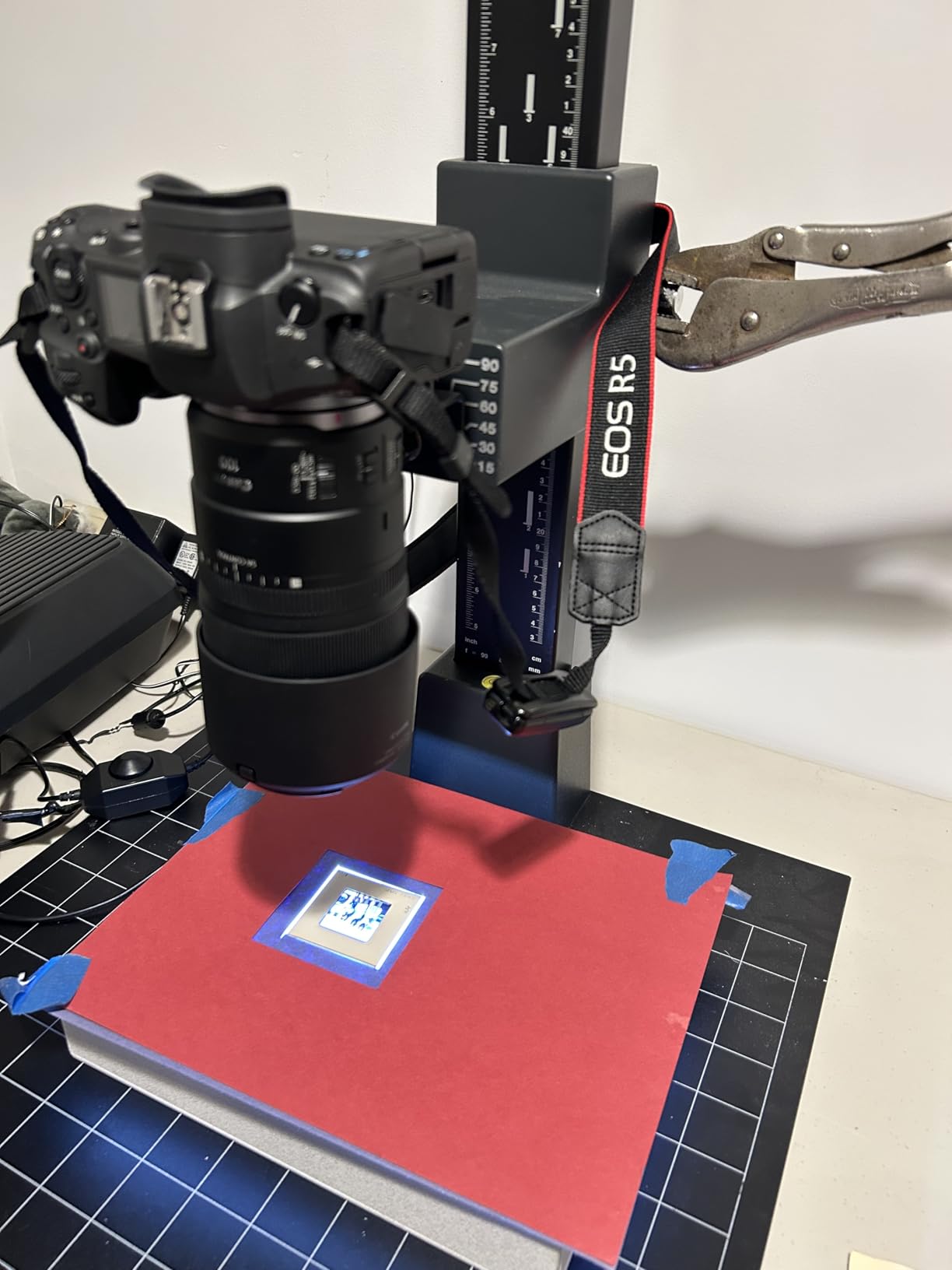 Canon RF100mm F2.8 L Macro IS USM Lens customer photo 1