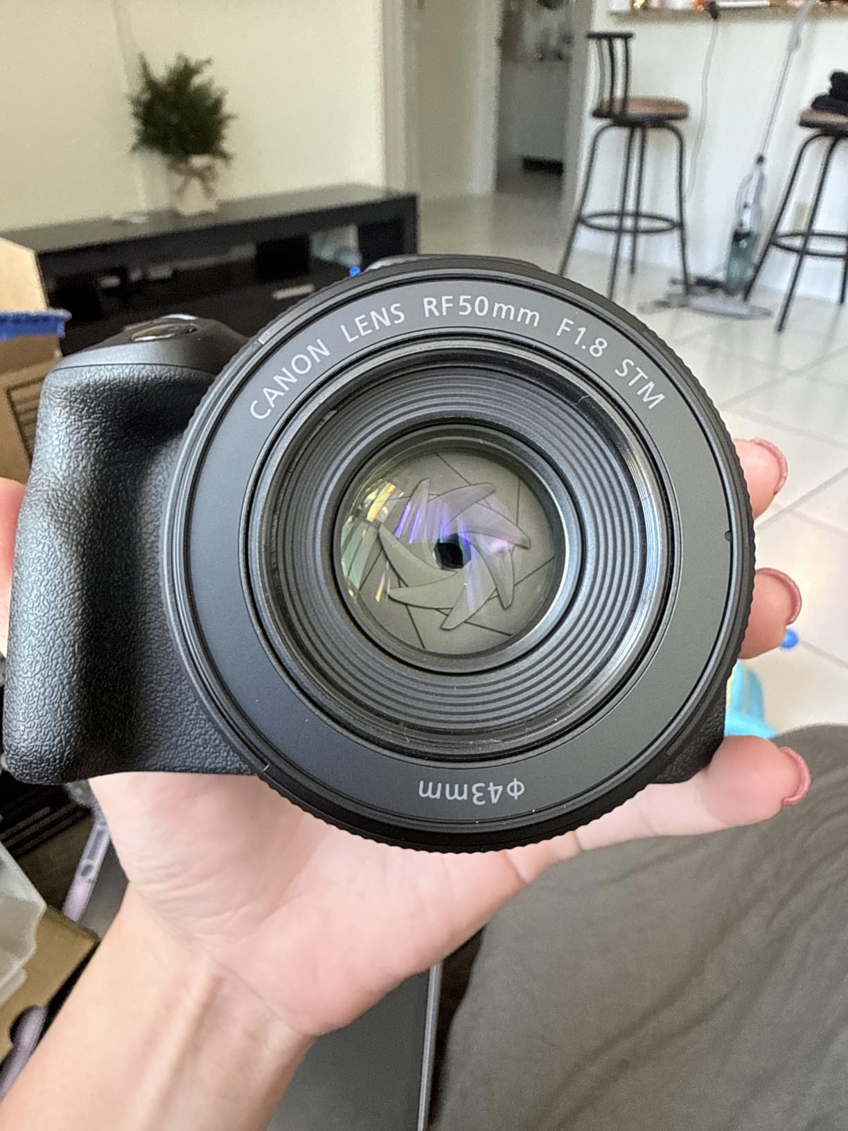 Canon RF50mm F1.8 STM Lens for EOS R Series customer photo 2