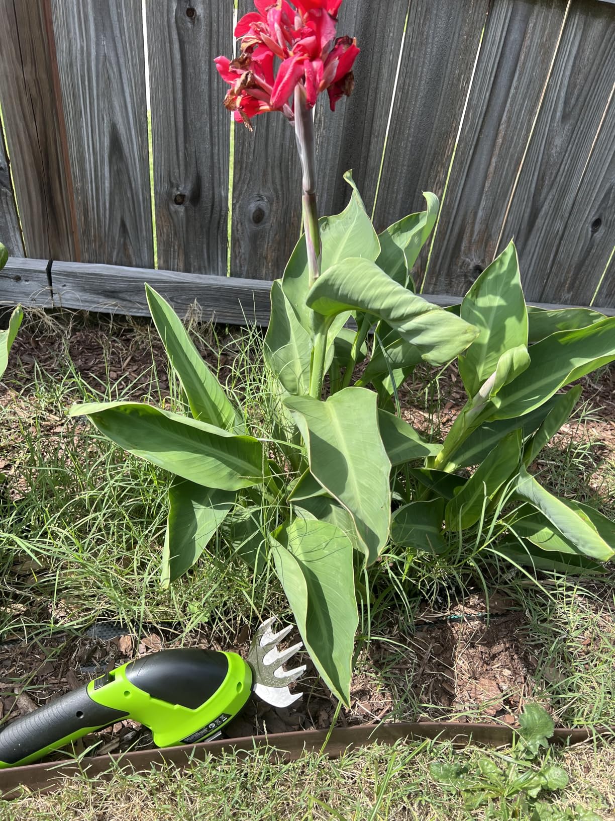 WORKPRO Cordless Grass Shear & Shrubbery Trimmer - 2 in 1 Handheld 7.2V Electric Grass Trimmer Hedge Shears/Grass Cutter Rechargeable Lithium-Ion Battery and Type-C Cable Included customer photo 2