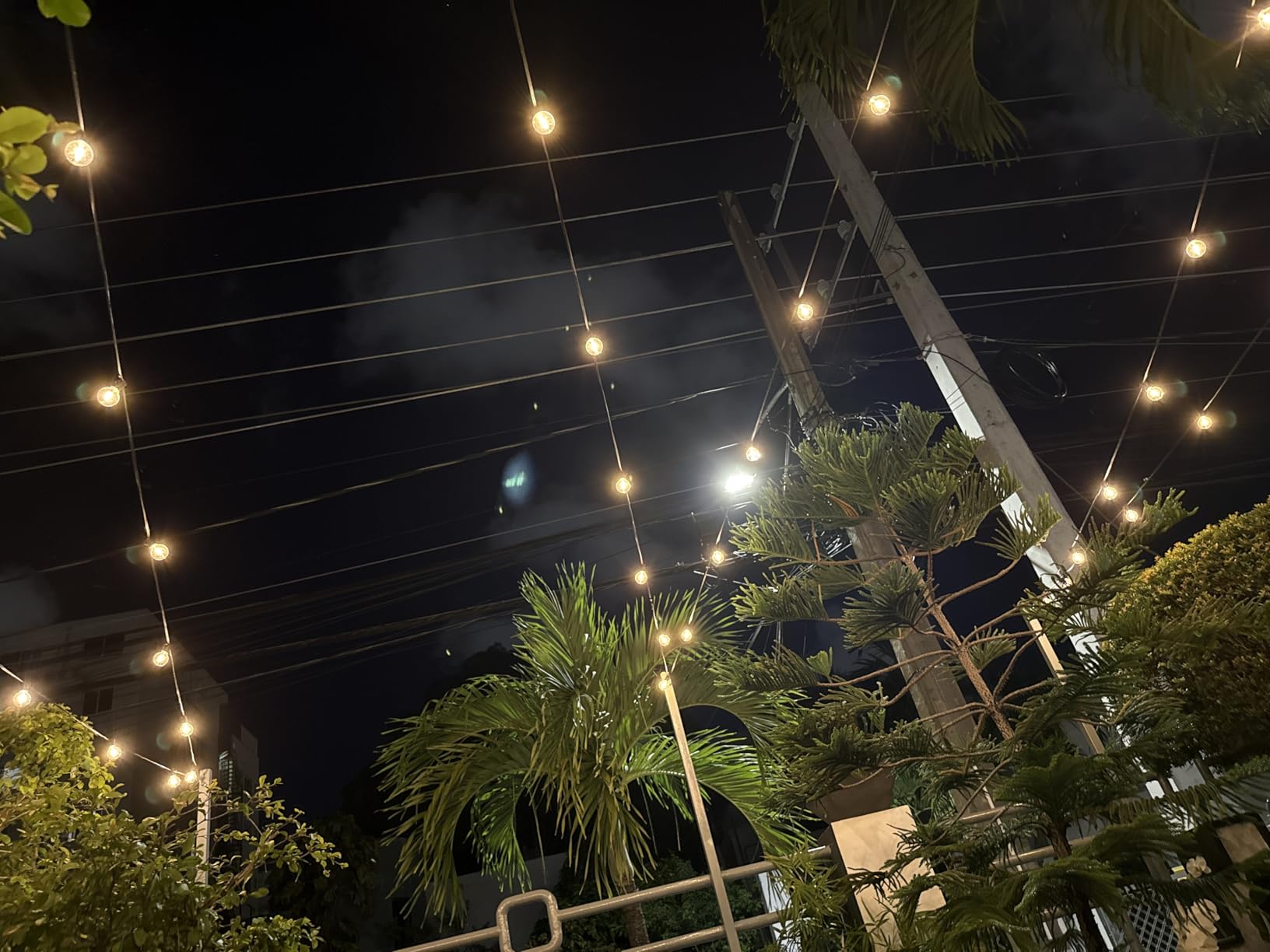 XMCOSY+ Outdoor String Lights, Smart Patio Lights 100Ft Dimmable Outdoor Lights Warm White, 50 G40 LED Bulbs, WiFi String Lights for Outside, Work with Alexa, APP Control, Waterproof Extendable customer photo 2