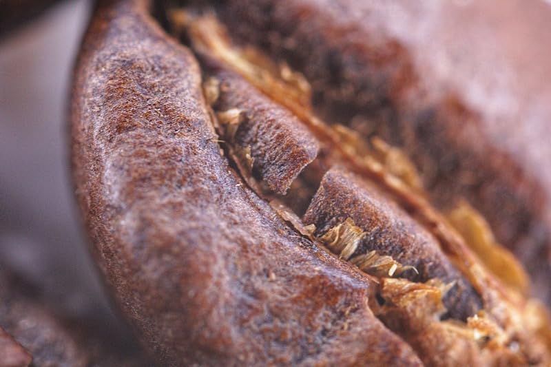 Godox Ring 72 Macro LED Ring Light with 8 Lens Adapter Rings for Canon Nikon Pentax Olympus DSLR Cameras customer photo 1