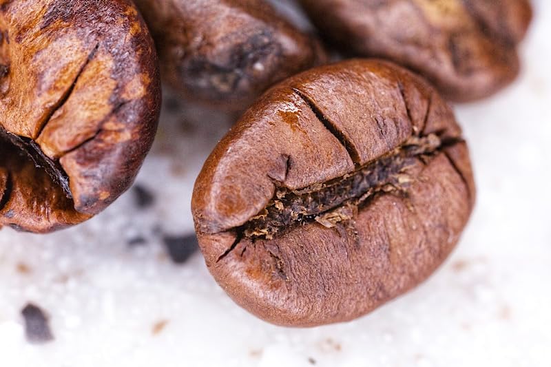 Godox Ring 72 Macro LED Ring Light with 8 Lens Adapter Rings for Canon Nikon Pentax Olympus DSLR Cameras customer photo 2