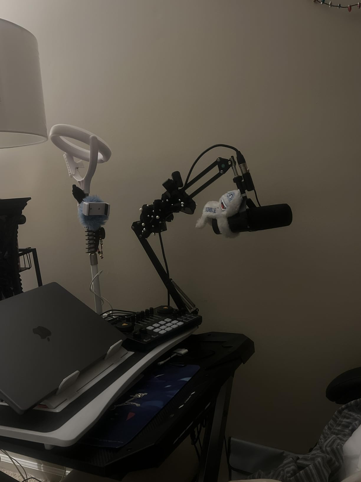 Shure MV7X XLR Dynamic Microphone customer photo 2