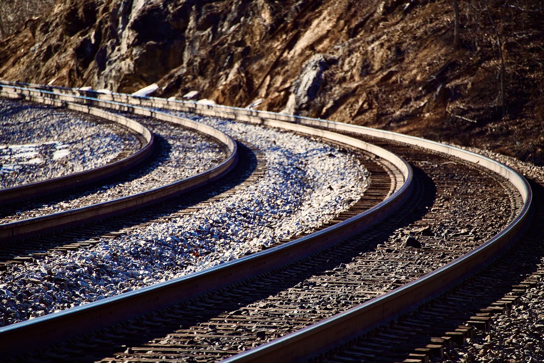 Canon RF100-400mm F5.6-8 IS USM Telephoto Zoom Lens customer photo 1