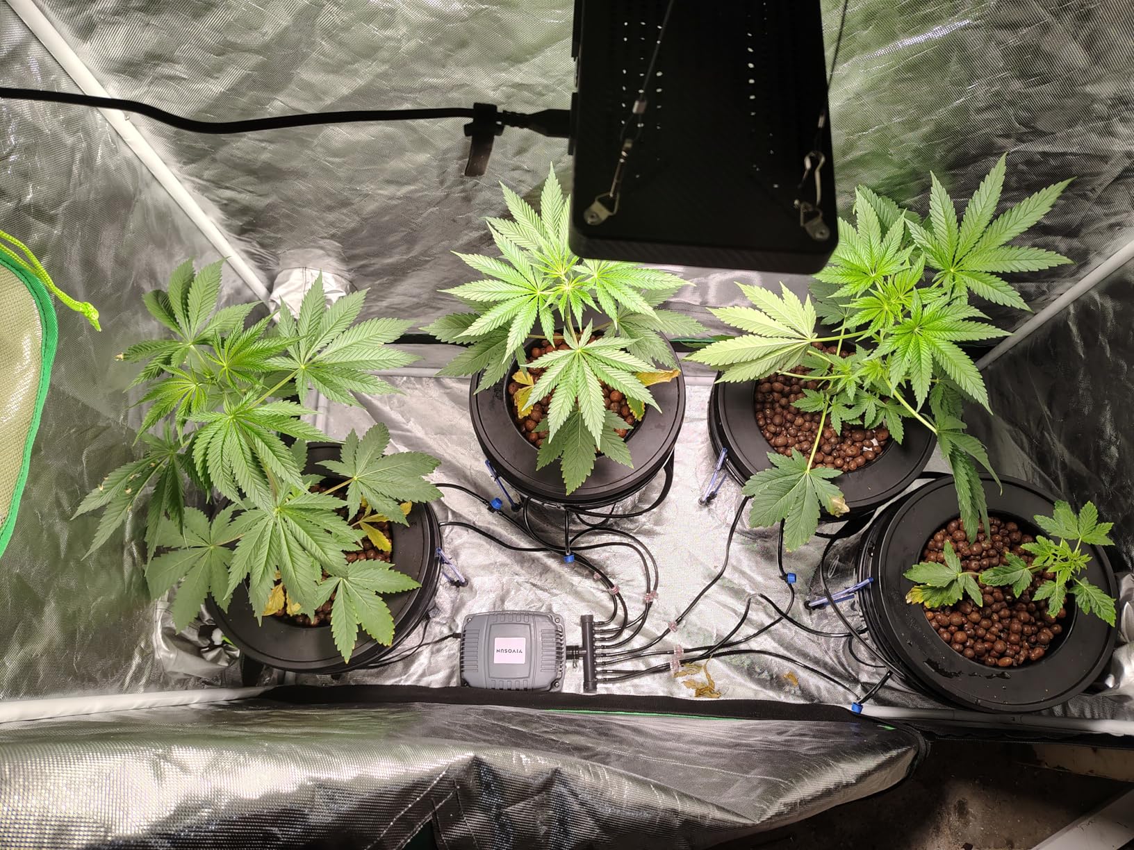 VIVOSUN DWC Hydroponics Grow System with Top Drip Kit, 5-Gallon Deep Water Culture, Recirculating Drip Garden System customer photo 2