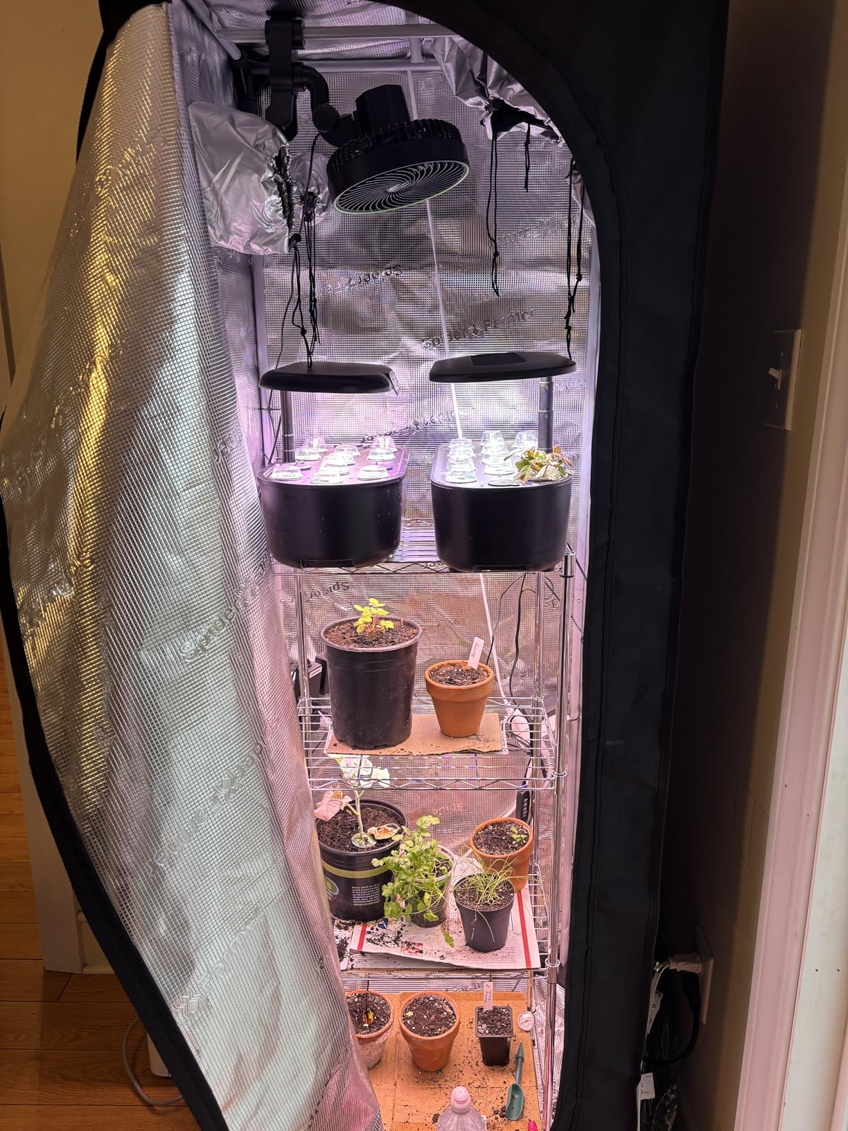 Spider Farmer 4x2 Grow Tent 2025 New, 48