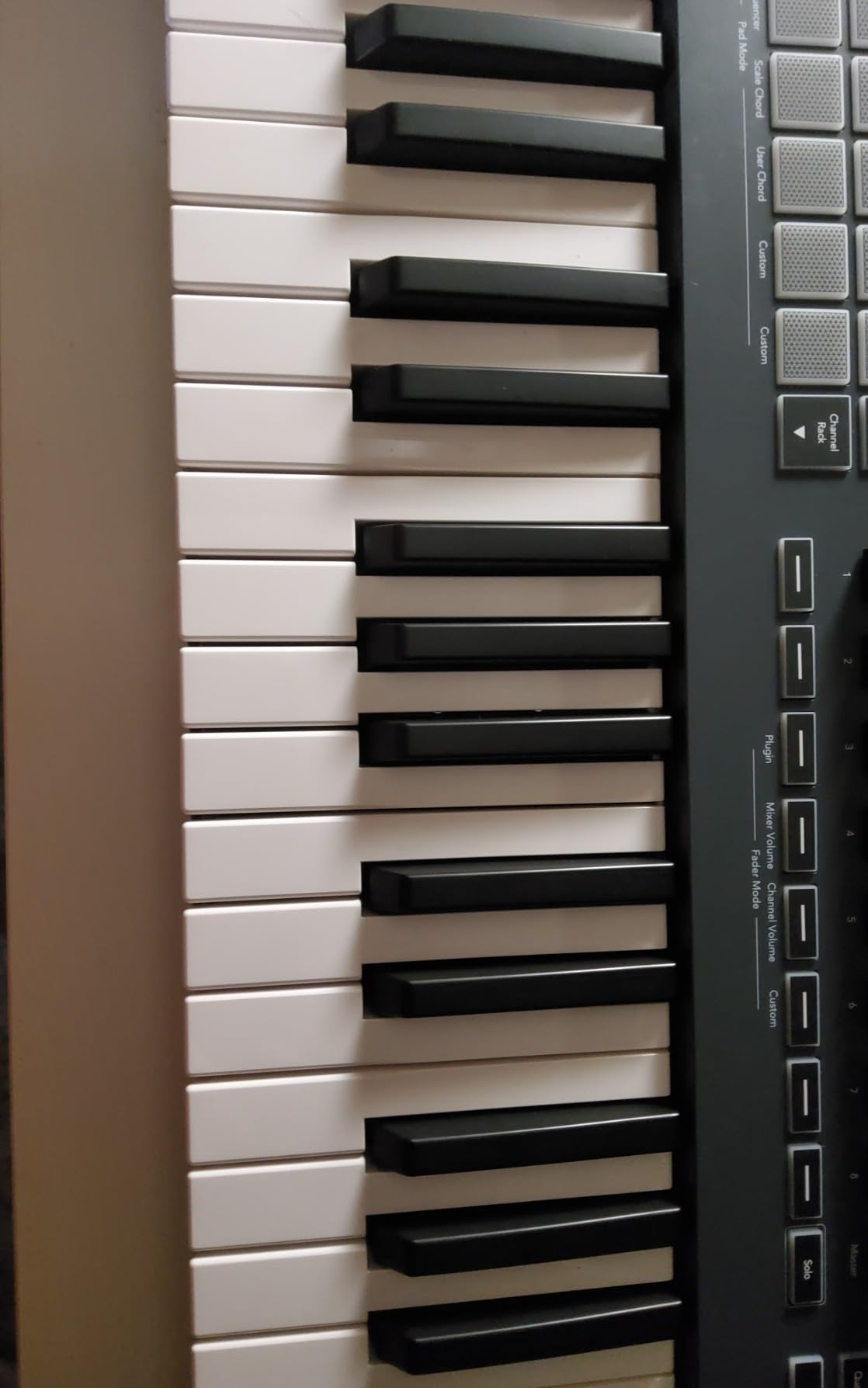 Novation FLkey Mini - Portable 25-Key USB MIDI Keyboard Controller with FL Studio Integration customer photo 2