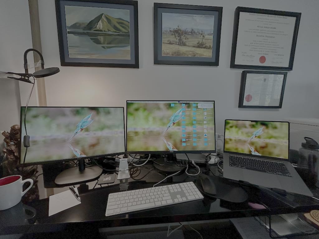 Plugable USB C Laptop Docking Station, Dual Monitor 4K 60Hz for Apple Mac M1/M2/M3/M4/M5/Neo, 2X HDMI or DisplayPort for MacBook, 100W Charging DisplayLink Dock, Driver Install Required (UD-6950PDH) customer photo 1