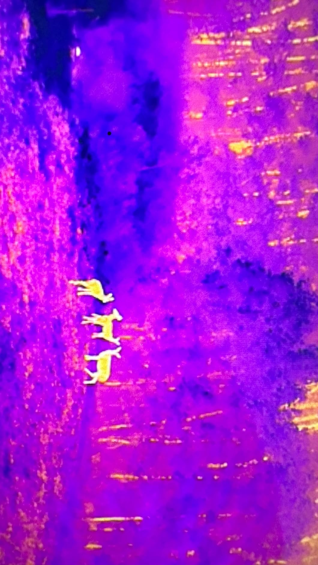 Autel Robotics EVO II Dual 640T V3, 640x512 Thermal Imaging Drone, Remote ID Supported, 0.8'' CMOS&50MP 8K RYYB Sensor, 10+ Temp Measurement, D-RI Ranges, Thermal Analysis Tool, for Search&Rescue/Power Inspection/Public Safety/Hunting customer photo 2