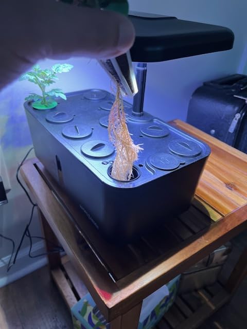 Ahopegarden Indoor Garden Hydroponics Growing System: 10 Pods Plant Germination Kit Herb Vegetable Growth Lamp Countertop with LED Grow Light customer photo 2