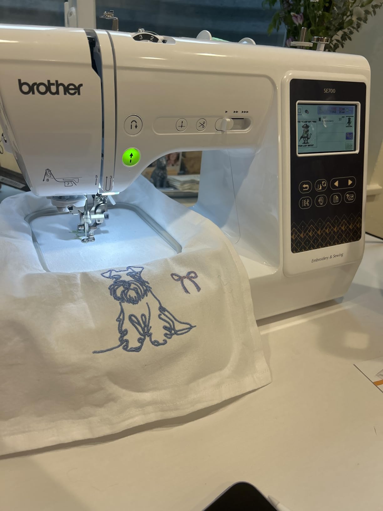 Brother SE700 Sewing and Embroidery Machine customer photo 2
