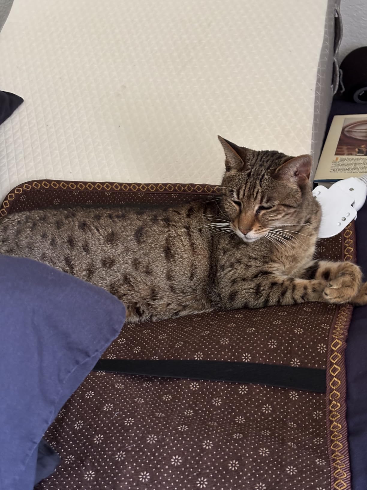 Far Infrared Heating Pad, Natural Jade and 2 Different Tourmaline Heating Pad, Electric Heating Pads for Back Neck Shoulders and Abdomen, Auto Shut Off Function, 23.6