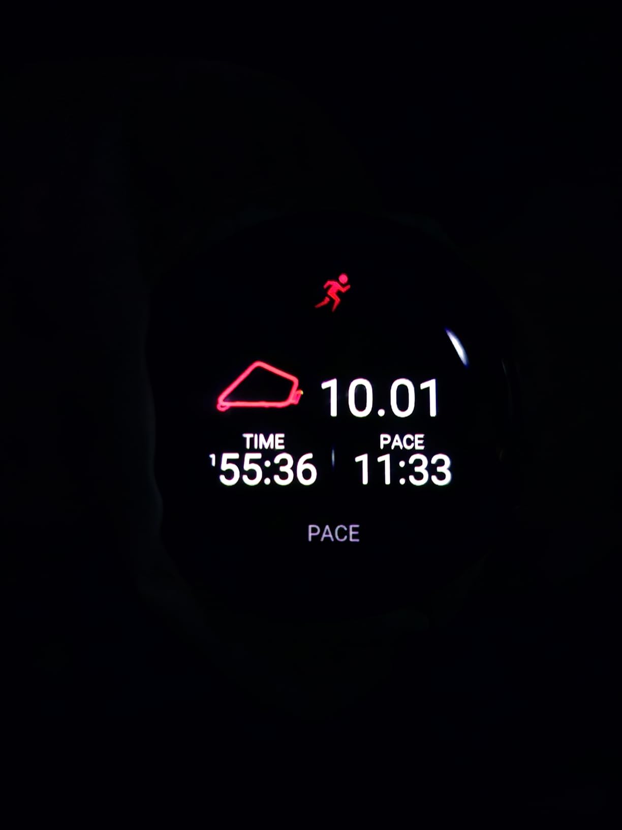 Garmin Forerunner 265 Running Smartwatch, Colorful AMOLED Display, Training Metrics and Recovery Insights, Whitestone and Tidal Blue customer photo 1