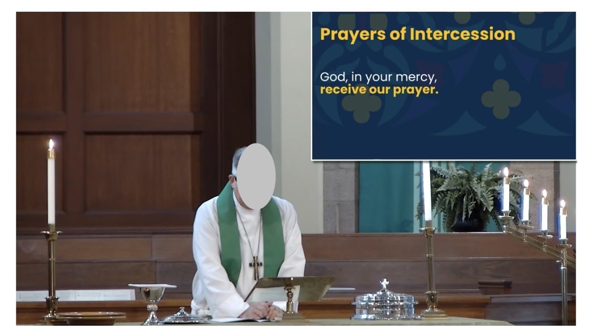 TONGVEO Conference Room PTZ Camera System with 20X Optical Zoom, AI Auto Tracking 1080P 60fps HDMI USB Webcam for Church Streaming Online Video Conference,Compatible with Zoom, OBS Easy Setup customer photo 2