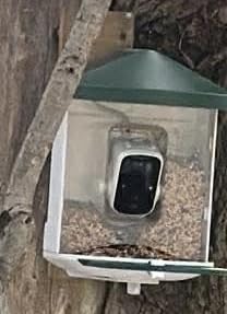 Bird Feeder with Camera with AI Identify Birds Species Solar Powered, Smart Bird House with Cam, 2K HD Video Live Stream, Instant Arrival Alerts customer photo 1