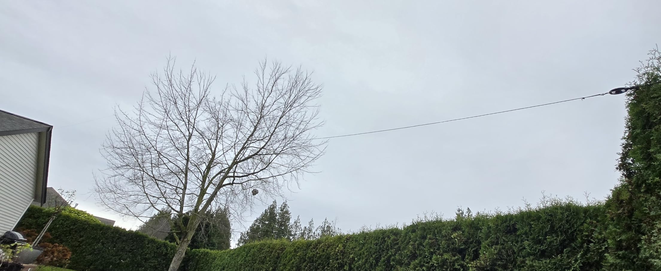 JYR8010-150W Multi-Band End Fed Half Wave Antenna 8 Bands 3.5-29.7 MHz No Tuning customer photo 1